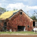 metal barn source image
